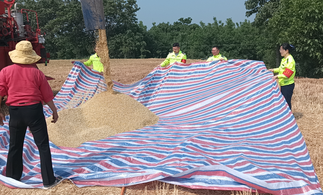 1746759763923.png 1746759763923.png