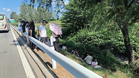 1755676357258.jpg 730433c027fbaf949ef3730036cb31e.jpg