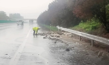 1755831916572.jpg 4.jpg