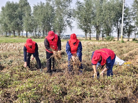 1761725574296.jpg 1.jpg